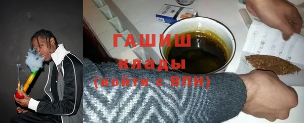 стаф Щигры
