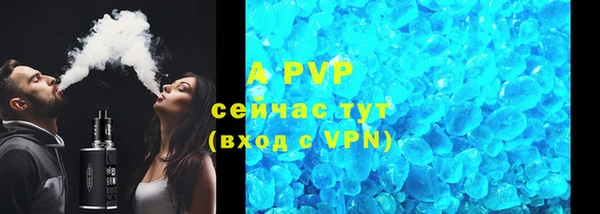 амф Щучье