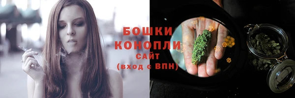гидра Шарыпово