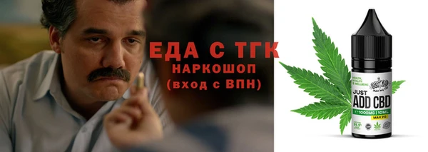 стаф Щигры