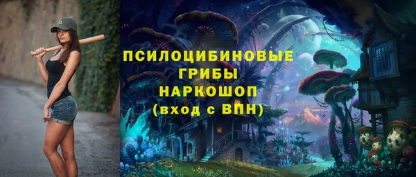 трава Шали