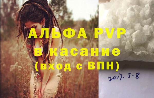 гидра Шарыпово
