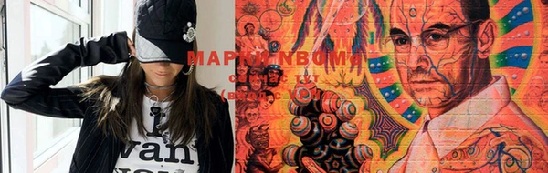 стаф Щигры
