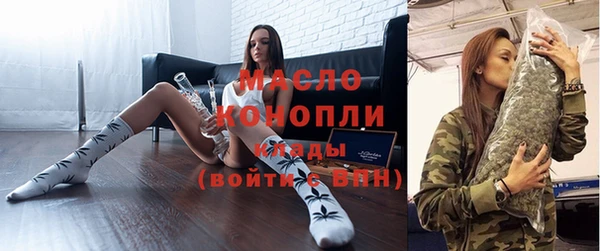 стаф Щигры