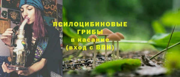 2c-b Шадринск